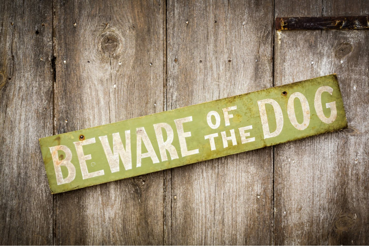 A weathered metal sign reading "Beware of the Dog" is mounted on a wooden fence.