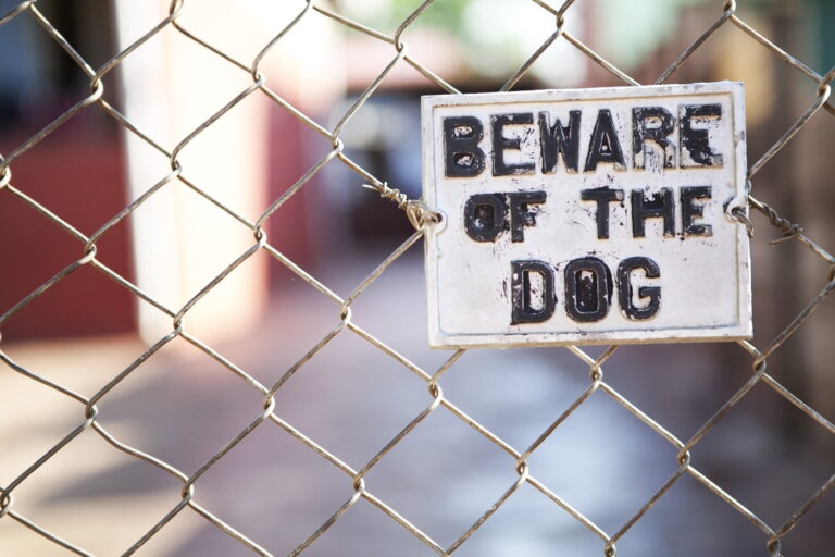 A metal fence with a sign that reads "Beware of the Dog" in bold, black letters.