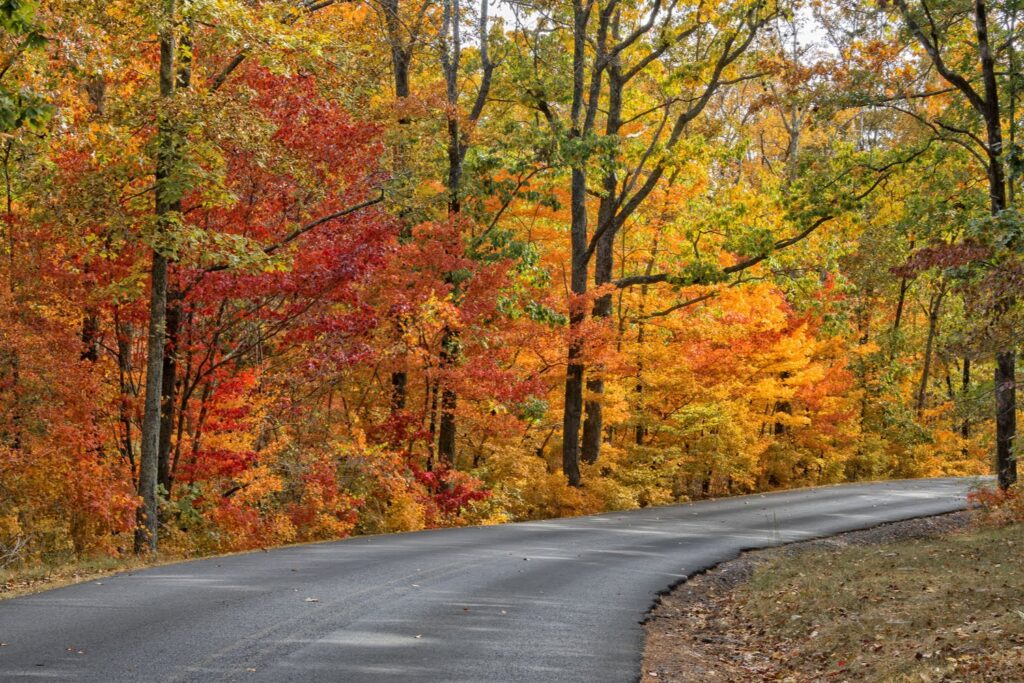 A paved road curves through a forest with trees displaying vibrant fall foliage in shades of red, orange, and yellow.