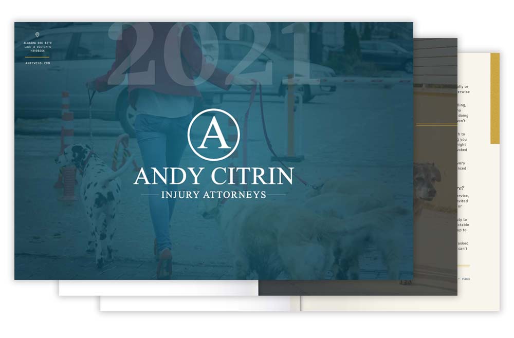A report cover for Andy Citrin Injury Attorneys featuring a person walking dogs, with "2021" and the firm's logo and name prominently displayed.