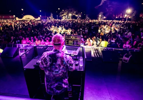A DJ performs on stage at night in front of a large, illuminated crowd at an outdoor event.