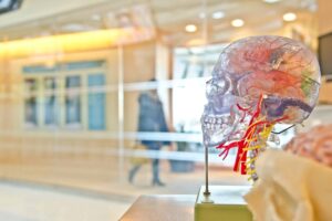 Mild Traumatic Brain Injuries Can Cause Life-Changing Symptoms